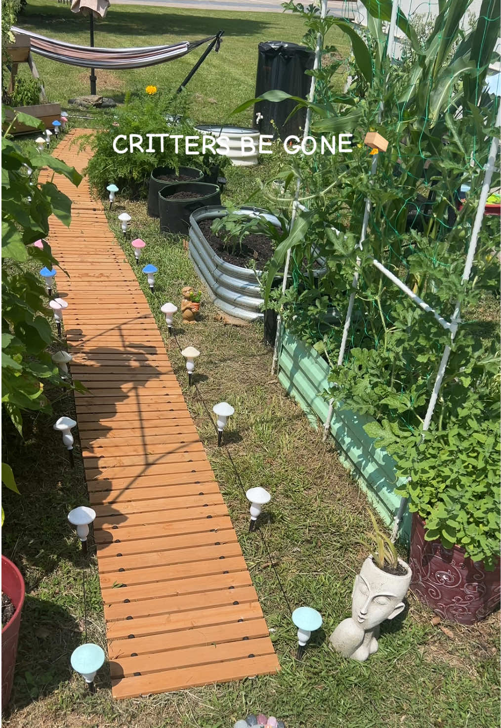 A post by @barbarasandre on TikTok caption: Mouse repellent to keep them mice away buuuuttt this also works for plenty of different bugs to stay away from your garden. It is a strong peppermint and other essential oils that critters haaaate.