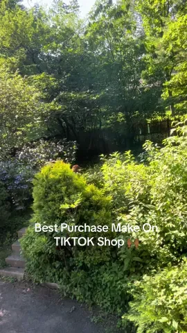 A post by @massangeshome on TikTok caption: Best Purchase on the TIKTOK Shop🙌🏾