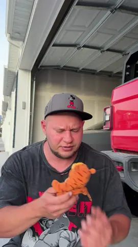 A post by @borshgreg on TikTok caption: 🐻 #гришаборщ #игрушки #чтоостанетсяпосленас