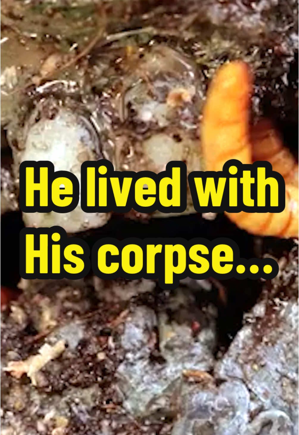 A post by @tb4ypodcast on TikTok caption: He lived with his corpse for 15 years?!…😨🤢 #podcast #horror #story #truecrime #truecrimetok #tb4ypodcast #truecrimecommunity 