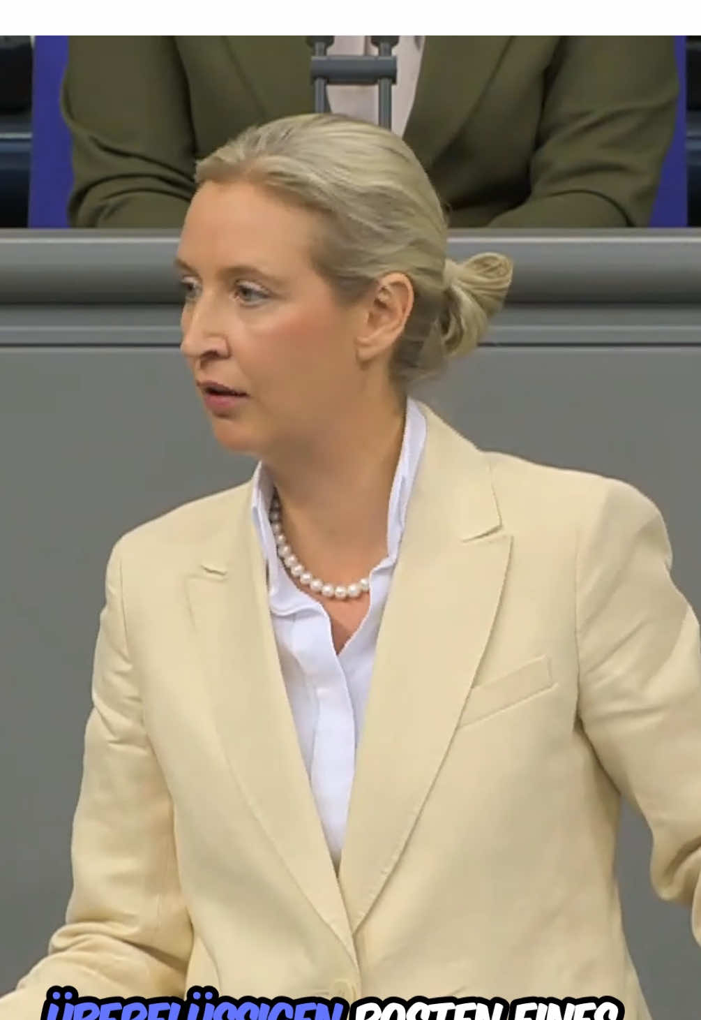 A post by @alice_weidel_afd on TikTok caption: „Ich empfehle Ihnen: Bitte, wenn Sie diese Politik der offenen Grenzen vertreten, nehmen Sie persönlich in Ihrer Wohnung die nächste afghanische Großfamilie auf - und schauen dann, wie das mit Ihrem queeren Lebensstil kompatibel ist.“ #bundestag #AfD #ideologie #migration #offenegrenzen #linksideologie #queerpolitik #deshalbafd #grenzschutz #sicherheit #alternativefürdeutschland #politik #fürdich