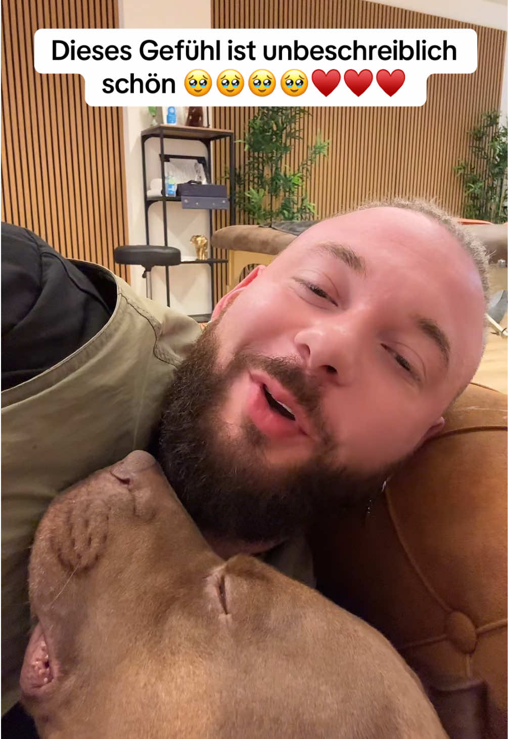 A post by @boneshandsanimals on TikTok caption: 🐶💩 Mundgerecht kommt nicht immer von den Zähnen… manchmal ist es der Darm! 😅 🌿 Magen-Darm-Pulver für Hunde – für einen glücklichen Bauch und entspanntes Gassigehen! ✨ Was dein Hund davon hat: ✅ Unterstützt die Verdauung bei Durchfall, Erbrechen oder Grasfressen ✅ Fördert gesunde Darmbakterien & reduziert schädliche Keime ✅ Stärkt das Immunsystem mit speziell ausgewählten Darmkulturen ✅ Mehr Energie dank Vitamin-B-Komplex 💥 🥄 Einfach in der Anwendung: ✔ Leicht unters Futter mischen, wird super akzeptiert ✔ Getreidefrei, vegan & hypoallergen – perfekt für empfindliche Fellnasen ✔ Frei von künstlichen Zusätzen & Schwermetallen ✔ Schonende Herstellung für beste Verträglichkeit 🇩🇪 Qualität, der du vertrauen kannst: 🔹 Entwickelt mit Tierärzten 🔹 Hergestellt & geprüft in Deutschland 🔹 Lichtgeschützte Verpackung für maximale Frische ❤️ Für einen stabilen Darm, eine gesunde Verdauung und mehr Wohlbefinden – Tag für Tag. Dein Hund wird es dir danken! 🐕✨ #foryou #asmr #animal #chiropractortiktok #türkiye #hundeauftiktok #hund #tiere #Love #animals #bochum #chiropractic #helfen 