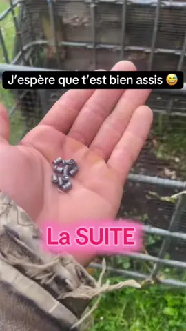 A post by @alex777terieur on TikTok caption: #jardinage #astuce #permaculture #potager 