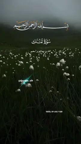 A post by @quranch on TikTok caption: #السورة_المانعة_من_عذاب_القبر#لها_فضل_كبير#تشفع_لصاحبها_حتى_يغفر_له#صوت_يأخذك_لعالم_الاخرة#سماع_القران_مريح_للقلب