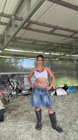 A post by @darileidyconcepcion_ on TikTok caption: Ya limpiaron su hogar? ✨