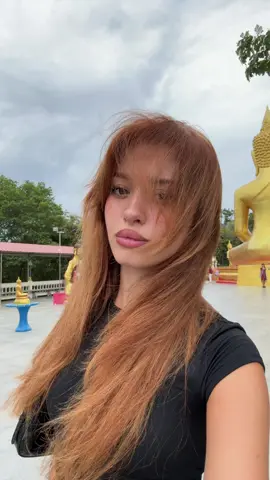A post by @bianchettaalacusta on TikTok