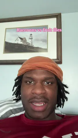 A post by @biggestswave on TikTok caption: POV: I just walked through a swarm