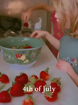 A post by @zerotothree_ on TikTok caption: #4thofjuly #family 