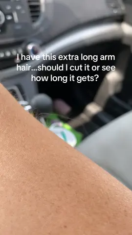 A post by @reprah_hannah on TikTok caption: Been growing for over a year at this point. #hair #armhair #longhair #hairinthewind #vote #grow #trim 