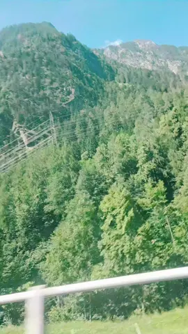 A post by @zendyross on TikTok caption: #amaviveorayperdona🙏❤️💚🏡 #naturaledealmapura🌲🌳🌏🌵🌴🌊💧 