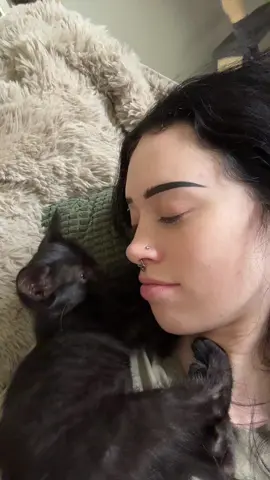 A post by @undeadem on TikTok caption: That moment when your mom gets a kitten so you don’t have too #kitten 