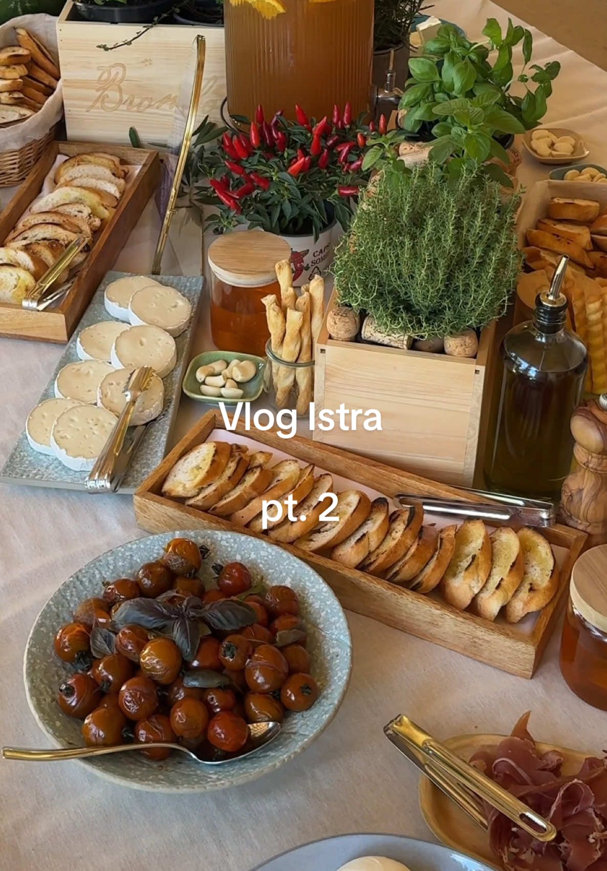 A post by @ivo_zinee on TikTok caption: Što sve stane u jedan dan kada ga planira Gemini? 💙 #GalaxyZFold7 #TeamGalaxy #withGalaxy #ChatwithGemini #Istra #dinner #GalaxyUnpacked #SamsungUnpacked #food #Croatia @Samsung  Sadržaj sponzorira @Samsung Hrvatska 