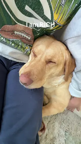A post by @brialem on TikTok caption: Some Lucy snores at the end 😭
