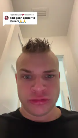 A post by @jynxziontwitch on TikTok caption: Replying to @iulian🥊 
