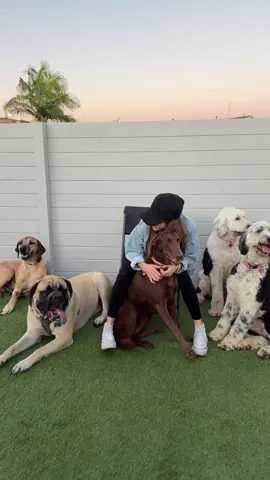 A post by @medinaaaattt on TikTok caption: no es un romance.. es una vida que me hace sonreír todos los días 💗 #medina 