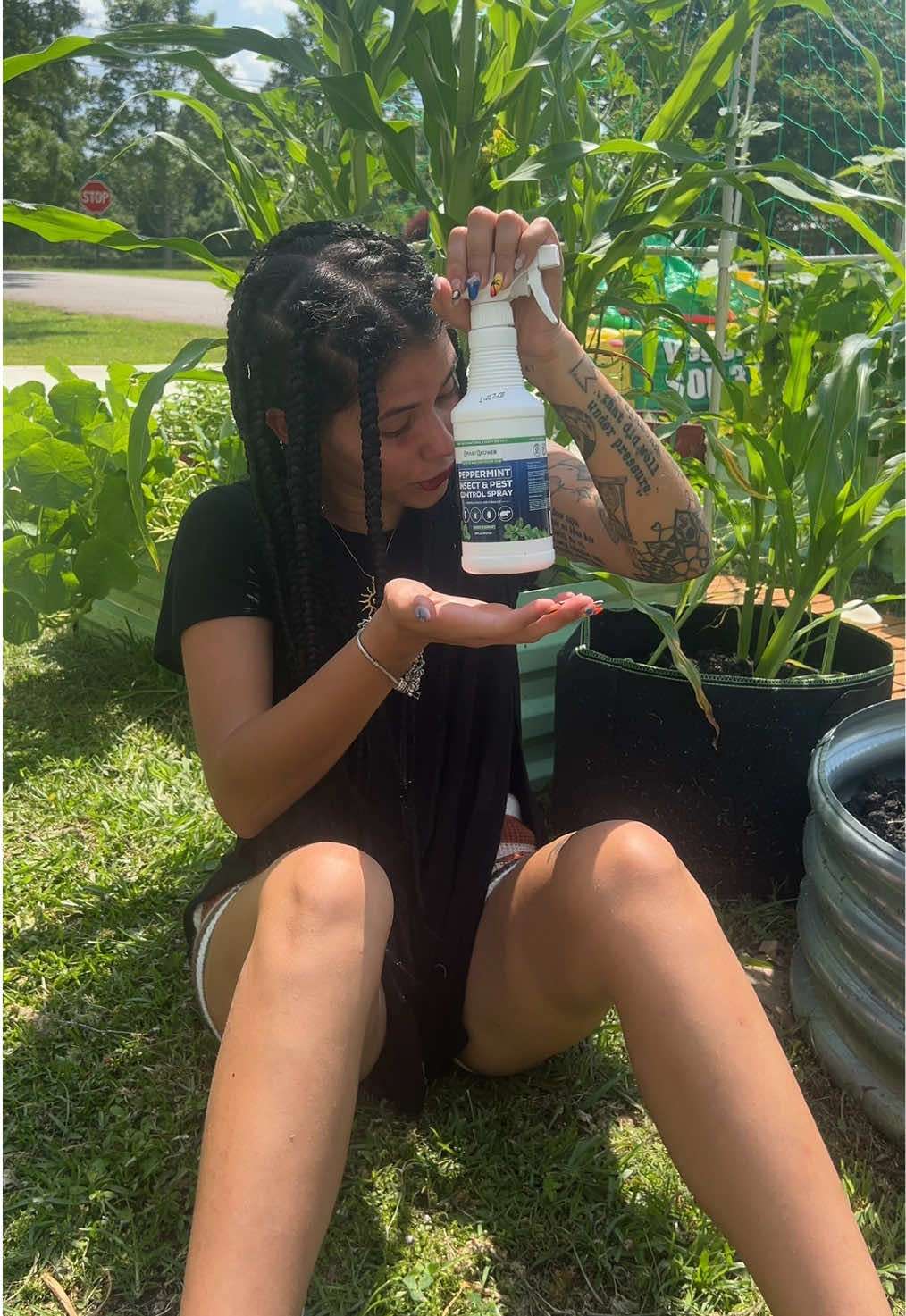 A post by @barbarasandre on TikTok caption: I love me a good natural insect and pest spray for my garden🥹