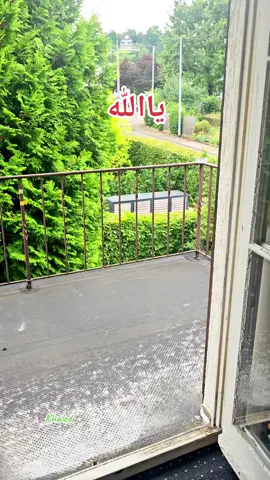 A post by @khaled12344eeee on TikTok caption: #اللهم امين يارب العالمين#ياحي_ياقيوم_برحمتك_استغيث #لاله_اله_الا_الله #الحمدلله_دائماً_وابداً #ffypシ🤲🕋❤ 