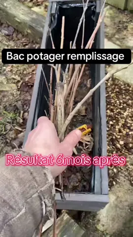 A post by @alex777terieur on TikTok caption: #jardinage #astuce #permaculture #potager 