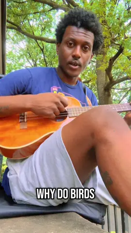 A post by @robleethemusicman on TikTok caption: Don’t mind my hair, I just woke up and had to get this song out #close#to#you#carpetners#soul#vibes#roblee#fyp#guitar#park#nyc