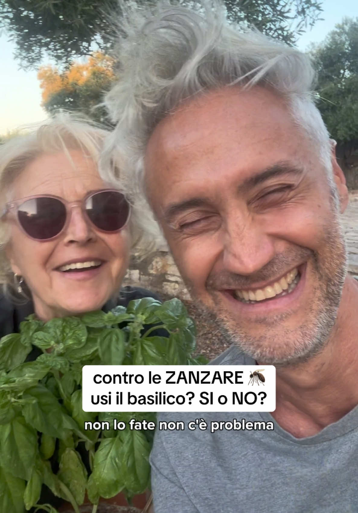 A post by @lafisicachecipiace on TikTok caption: Ma davvero utilizzate le foglie di basilico per allontanare le zanzare? È una questione di fisica #lafisicachecipiace #fisica #lafisicachecipiacekids #scuola #vincenzoschettini