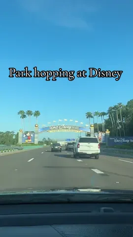 A post by @mckenna_mulholland on TikTok caption: Amazing day❤️ #parkhopping #disneyworld #disney #fyp #longday 