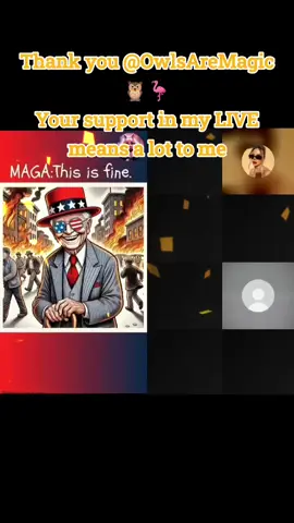 A post by @thepamham on TikTok caption: OwlsAreMagic🦉🦩, thank you for the incredible support in my LIVE! I will keep creating better LIVE content! @OwlsAreMagic🦉🦩 #tiktoklive #livehighlights #livegift #superlivestar #summeroflive 