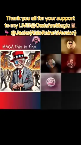 A post by @thepamham on TikTok caption: Great thanks to these top gifters! Thank you for your support to my LIVE! #tiktoklive #livehighlights #Damn Pam Ham from Effingham #livegift #flyingjets 