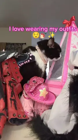 A post by @mollythepandacatofficial on TikTok caption: I think her forever favorite is the robe 🥹 . . . . #fyp #girlcat #tuxedocat #petsoftiktok #outfit #fypシ #catsoftiktok 