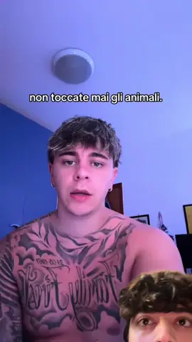 A post by @nacciflex on TikTok
