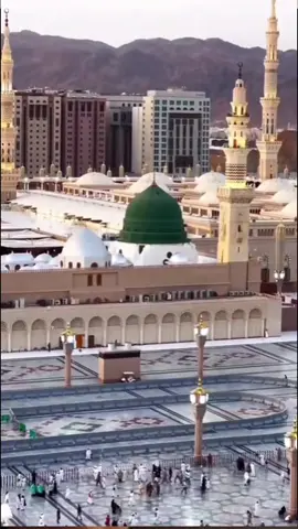 A post by @oliveruchi on TikTok