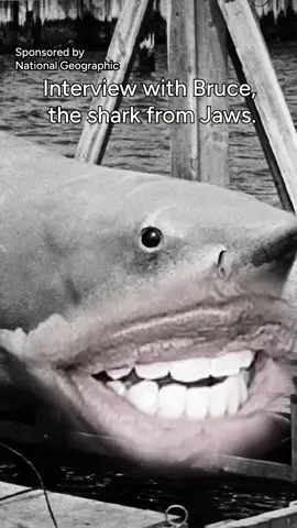 A post by @sydwinnie on TikTok caption: 🎥 Getting a better look at the iconic film JAWS with the star himself - Bruce! #Jawsat50 is streaming now on @hulu and @Disney+ #ad
