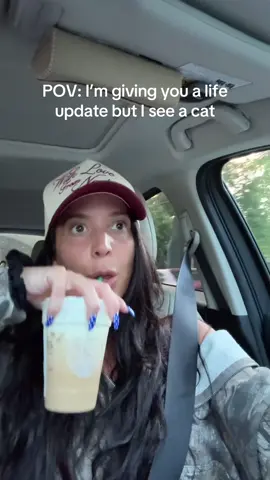 A post by @queenofgettingbanned on TikTok caption: What would you have done?! #straycat