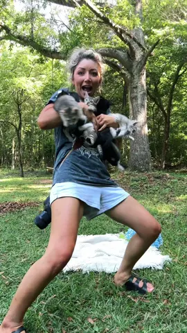 A post by @russell_jessica24 on TikTok caption: Your cat lady/papa origin story starts here. Don’t fight it. Adopt them pls I beg of you. 🧎🏼‍♀️‍➡️