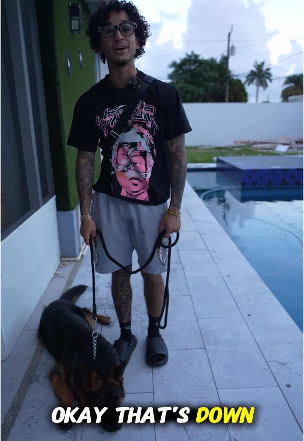 A post by @qtclaps on TikTok caption: Meet my puppy cash💵 #qtclaps #germanshepherd #viral #puppy 