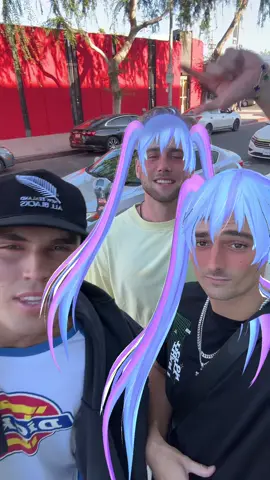 A post by @sidestrokeshep on TikTok caption: Legendary @Harry Jowsey @Josh McGregor @tjpalma @Gracyn Blackmore 