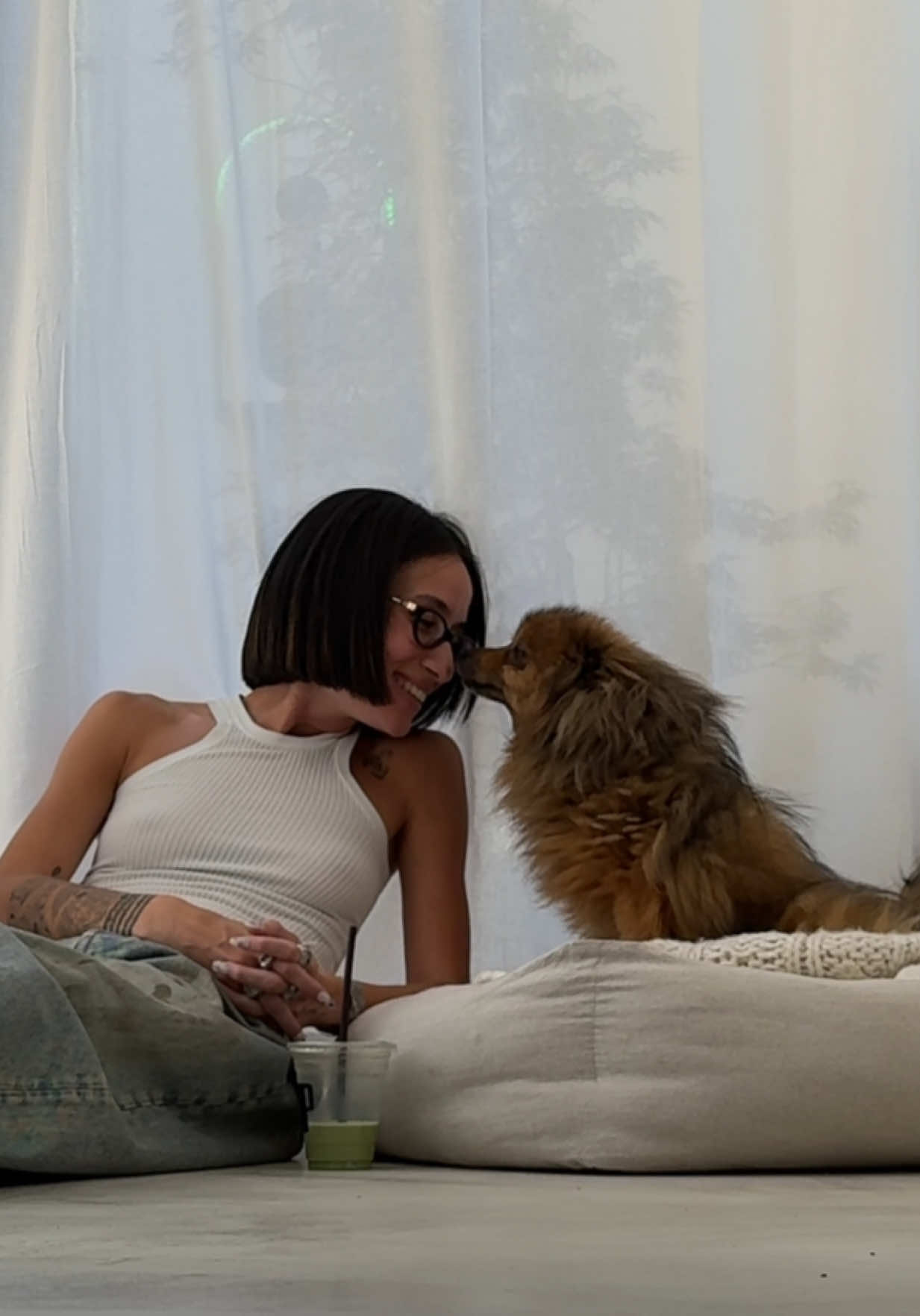 A post by @alexandraguerain on TikTok caption: mon vieux papi de 16 ans 🫂🥺 ig: alexandraguerain #dogsoftiktok #Love #spitz #louloudepomeranie 