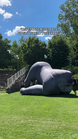 A post by @martinastrazzer_ on TikTok caption: 😂😂 Stiamo allestendo AMABILAND 🔥 Vi aspettiamo a Ercolano sabato e domenica 🦍