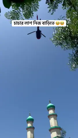 A post by @alshahrian00 on TikTok