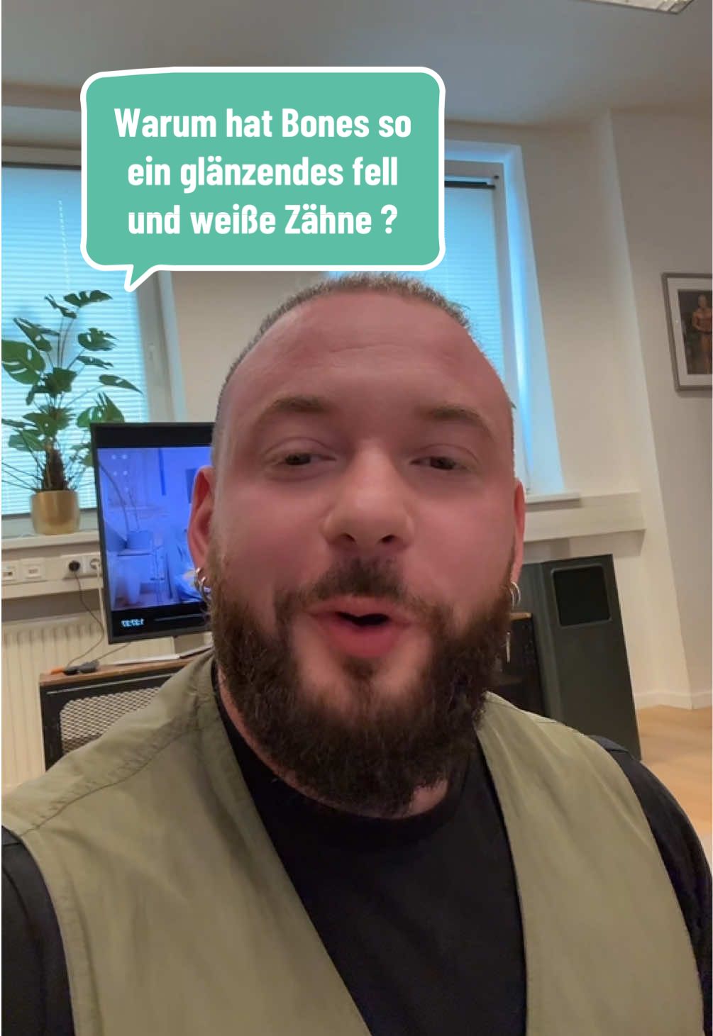 A post by @boneshandsanimals on TikTok caption: Wieso glänzt Bones sein Fell und wieso hat er weiße Zähne. 🌿 Magen-Darm-Pulver für Hunde – für einen glücklichen Bauch und entspanntes Gassigehen! ✨ Was dein Hund davon hat: ✅ Unterstützt die Verdauung bei Durchfall, Erbrechen oder Grasfressen ✅ Fördert gesunde Darmbakterien & reduziert schädliche Keime ✅ Stärkt das Immunsystem mit speziell ausgewählten Darmkulturen ✅ Mehr Energie dank Vitamin-B-Komplex 💥 🥄 Einfach in der Anwendung: ✔ Leicht unters Futter mischen, wird super akzeptiert ✔ Getreidefrei, vegan & hypoallergen – perfekt für empfindliche Fellnasen ✔ Frei von künstlichen Zusätzen & Schwermetallen ✔ Schonende Herstellung für beste Verträglichkeit 🇩🇪 Qualität, der du vertrauen kannst: 🔹 Entwickelt mit Tierärzten 🔹 Hergestellt & geprüft in Deutschland 🔹 Lichtgeschützte Verpackung für maximale Frische ❤️ Für einen stabilen Darm, eine gesunde Verdauung und mehr Wohlbefinden – Tag für Tag. Dein Hund wird es dir danken! 🐕✨ #foryou #asmr #animal #chiropractortiktok #türkiye #hundeauftiktok #hund #tiere #Love #animals #bochum #chiropractic 