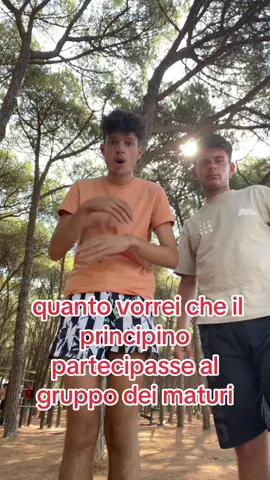 A post by @u_calabrisi1 on TikTok caption: quanto vorrei che il principino partecipasse al gruppo dei maturi #videoviral #perte #trend 