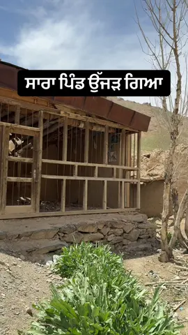 A post by @punjabitravelcouplevlog on TikTok caption: ਸਾਰਾ ਪਿੰਡ ਉੱਜੜ ਗਿਆ 🇦🇫 #punjabi #punjabitiktok #punjabivideo #punjabi 