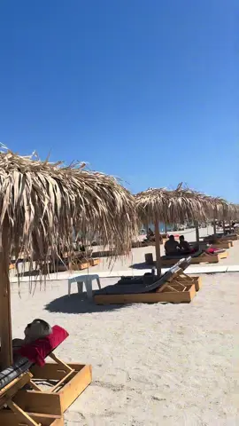 A post by @alexandraalisorii on TikTok caption: @Bamba Spartanul @DG🩷 