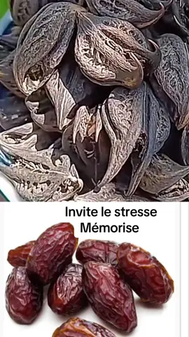 A post by @adamadrame0101 on TikTok