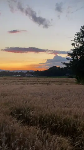 A post by @laila_afrin3 on TikTok caption: #تصويري #📸 #schweiz🇨🇭 #zürich🇨🇭 #rojava_rojhlat_bakor_başor❤💛💚 #kurdistan❤️ #عفرين_قامشلي_كوباني_درباسيه_ديرك_عاموا 