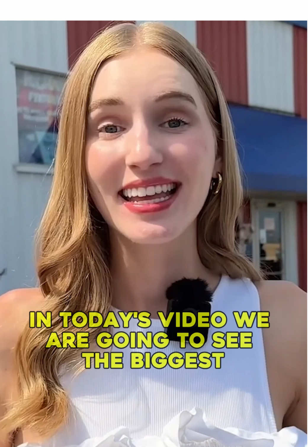 A post by @ariannitalagringa on TikTok caption: Fourth of July Recap 🎇 #ariannitalagringa #englishwithariannitalagringa #learnenglish #english #englishteacher #ingles #inglesonline #teacher 