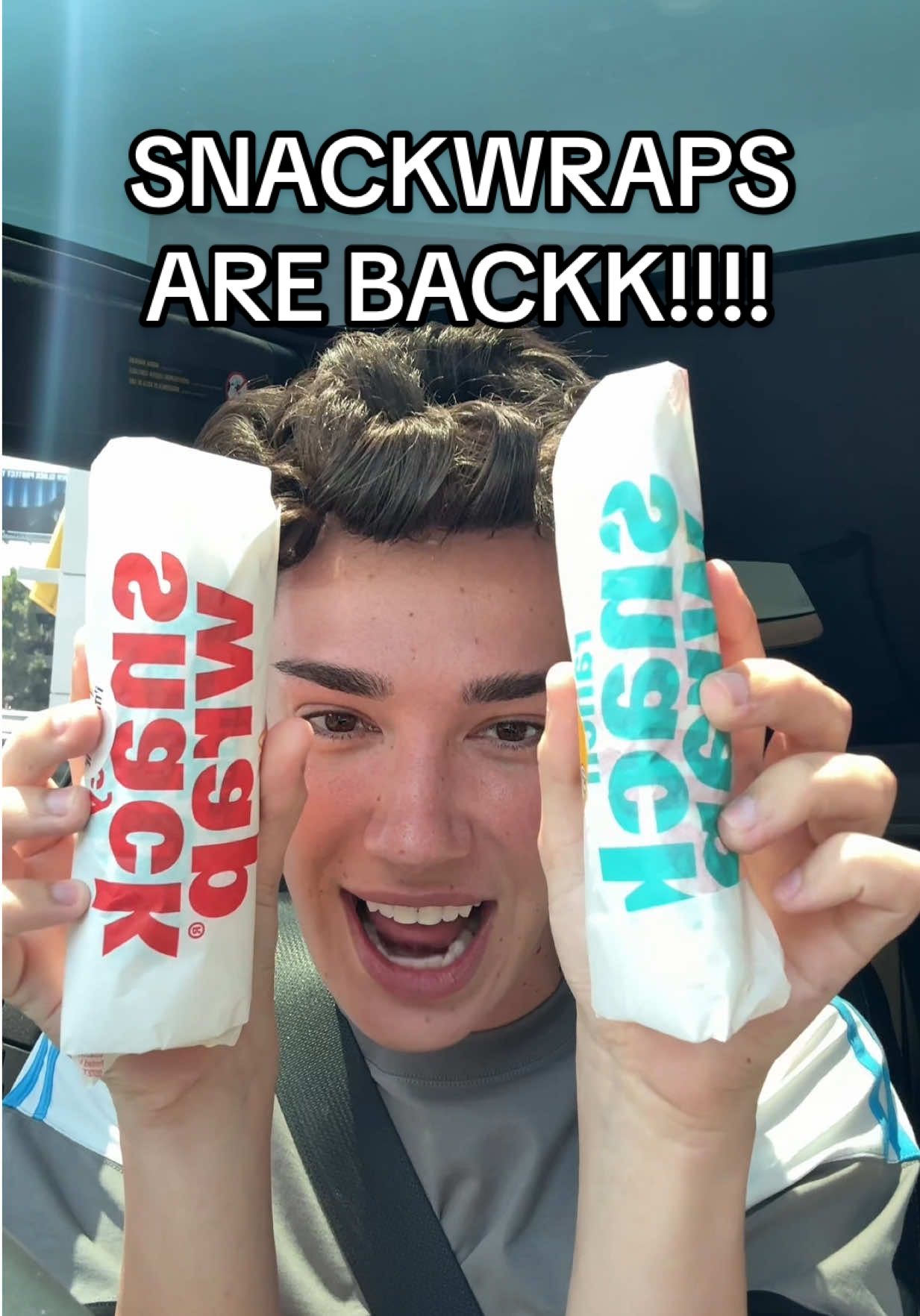 A post by @jamescharles on TikTok caption: THANK U FOR LISTENING @McDonald’s 
