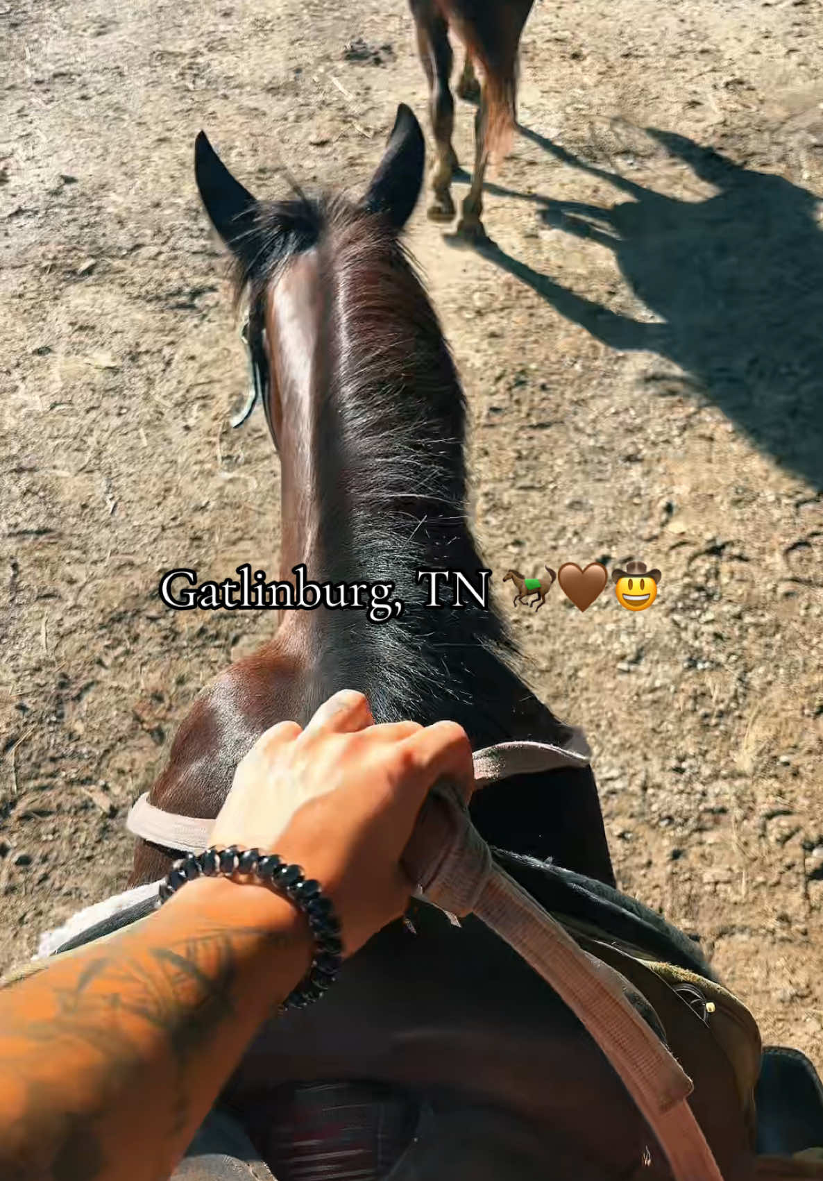 A post by @ on TikTok caption: Haven't rode a horse since my childhood. Nostalgia 🤍🥹🐴 #tennessee #horse #horses #nostalgia #momsoftiktok 