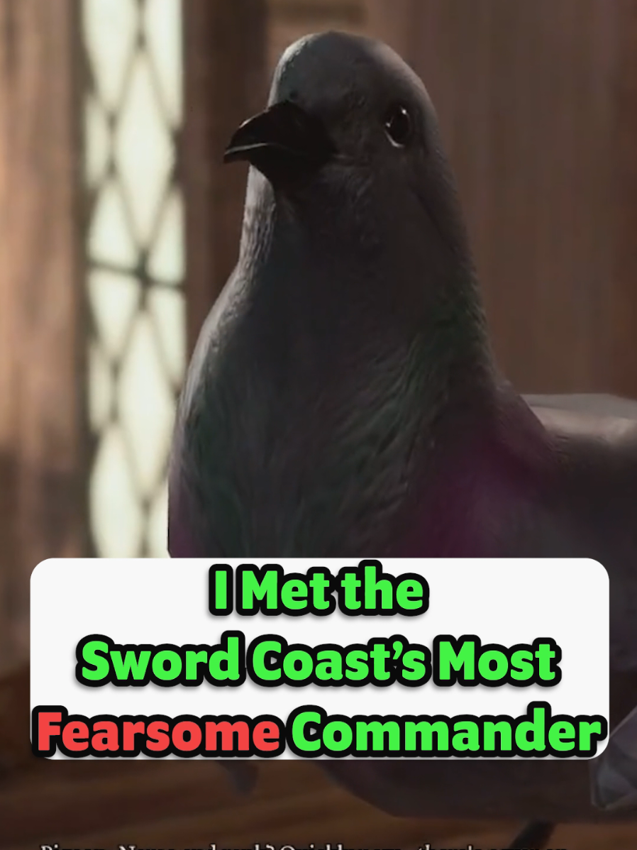 A post by @kruzadar on TikTok caption: SIR YES SIR 🫡 Game: Baldur's Gate 3