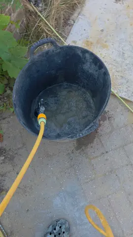 A post by @hrp_brickwork on TikTok caption: 🐍 #water #snake 