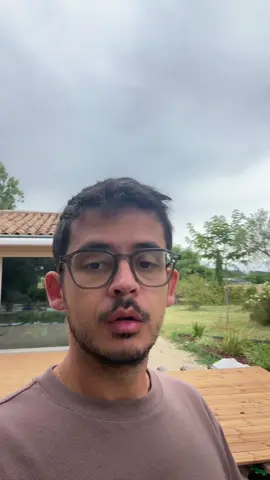 A post by @noholito on TikTok caption: On sauve les animaux de la piscine 